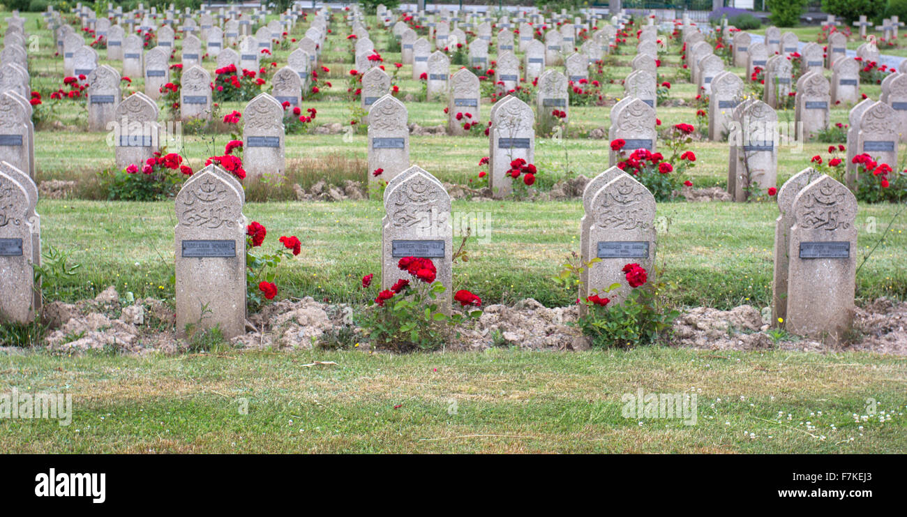 Poppies War Grave France High Resolution Stock Photography And Images poppies-war-grave-france-high-resolution-stock-photography-and-images