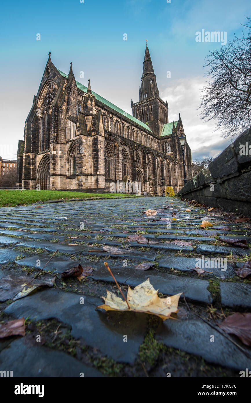 Leaves on cobbled path at Glasgow Cathedral, Scotland Stock Photo