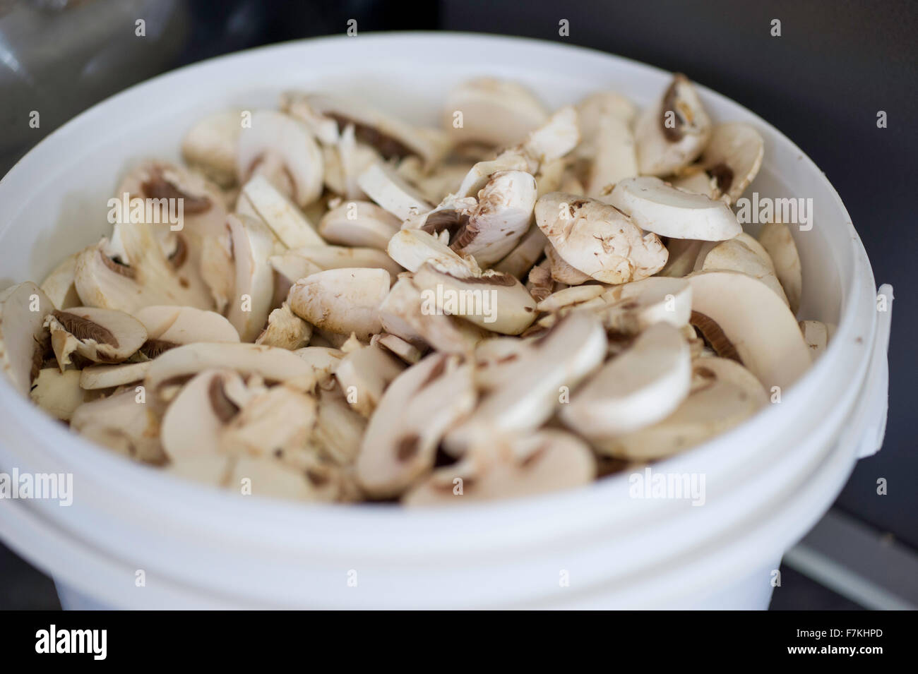 A bucket of mushrooms hi-res stock photography and images - Alamy