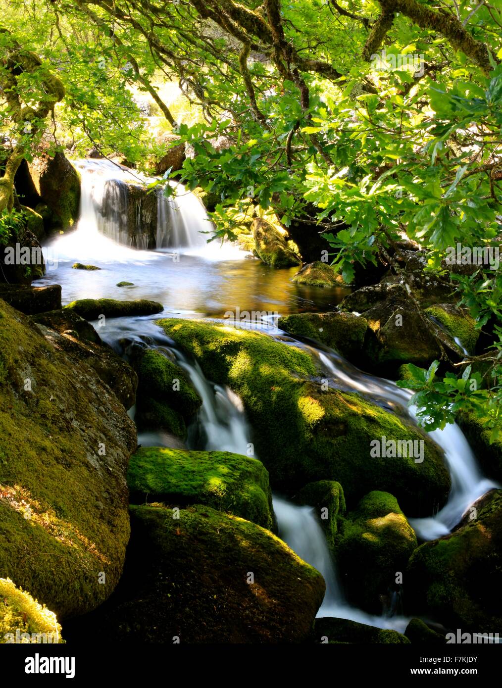 Waterfall on the West Okement River, Near Meldon, Dartmoor, Devon Stock Photo