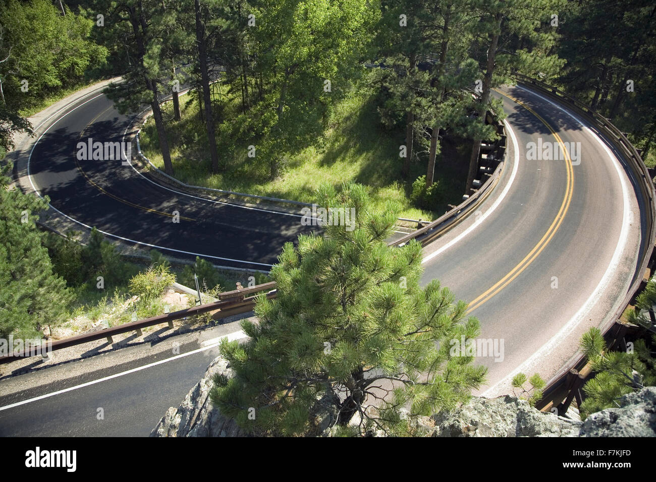 Circular loop on Iron Mountain Road, Black Hills, near Mount Rushmore National Memorial, South Dakota Stock Photo