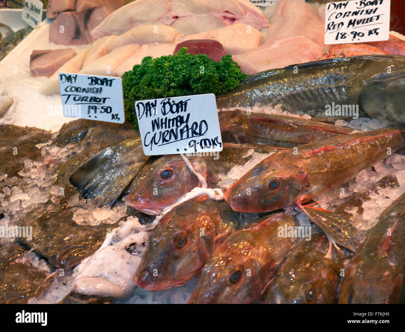 Fresh Whitby Gurnard fish on display at fishmongers stall Borough