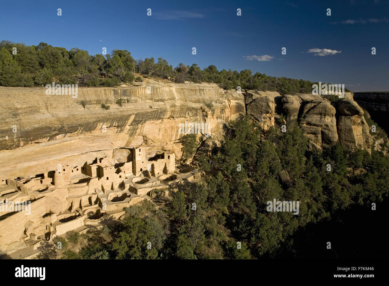 Cliff Palace cliff dwelling Indian ruin, the largest in North America, Mesa Verde National Park, Southwestern Colorado Stock Photo