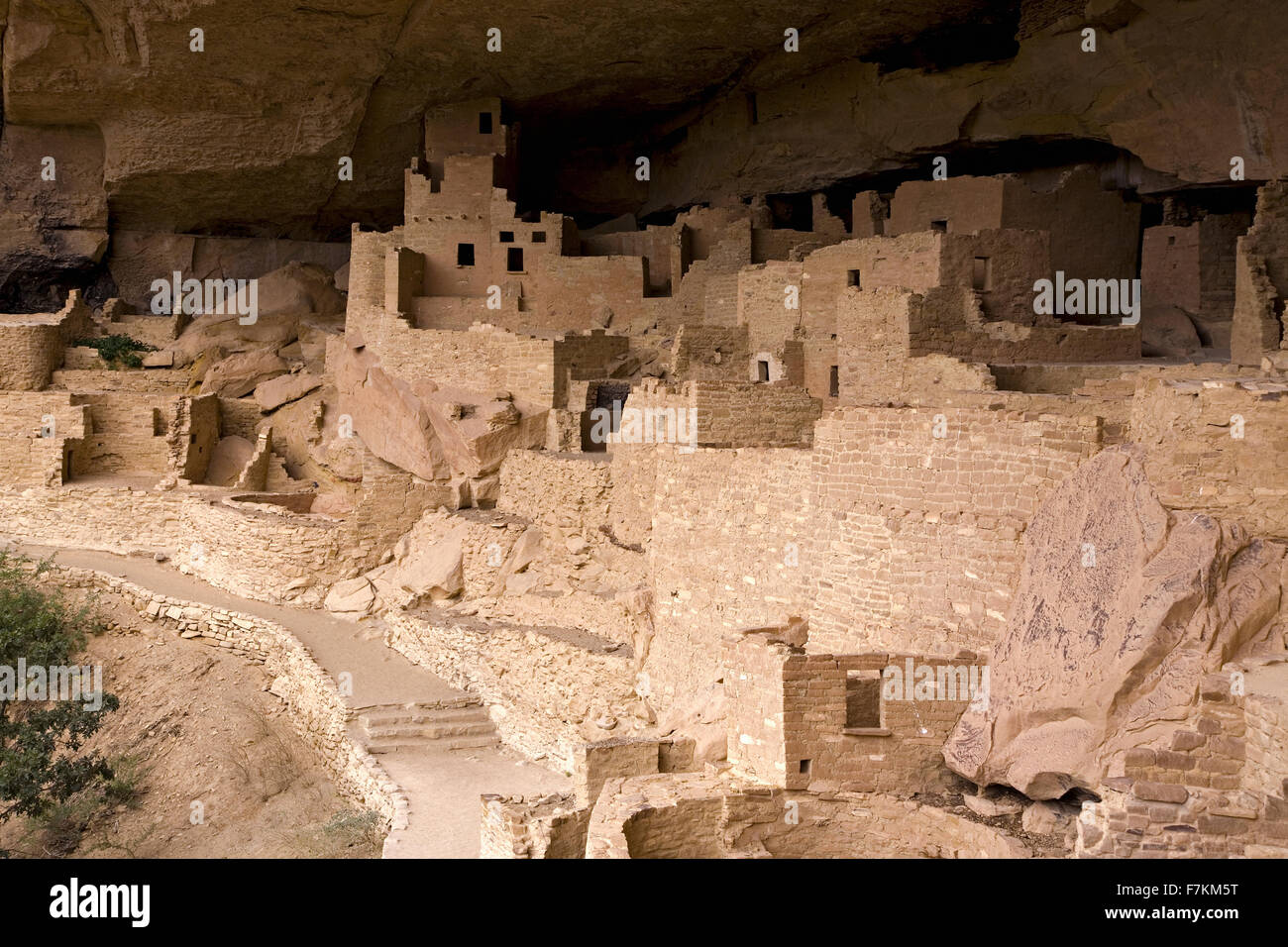 Cliff Palace cliff dwelling Indian ruin, the largest in North America, Mesa Verde National Park, Southwestern Colorado Stock Photo