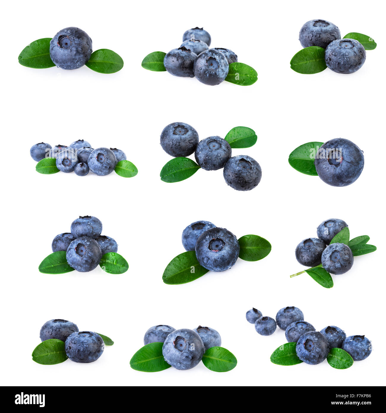Blueberries Collection Stock Photo