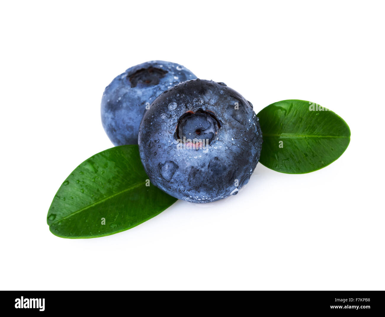 Blueberries Green Leafs Stock Photo