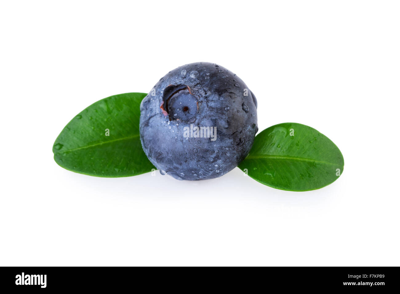 Blueberry Macro Stock Photo