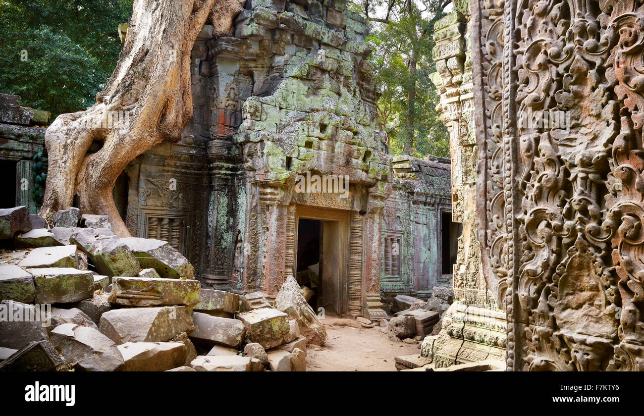 Angkor - Ta Prohm Temple, Siem Reap, Cambodia, Asia Stock Photo