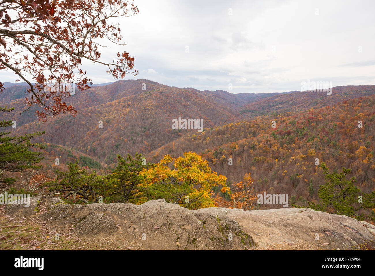 Fall color in Virginia Stock Photo