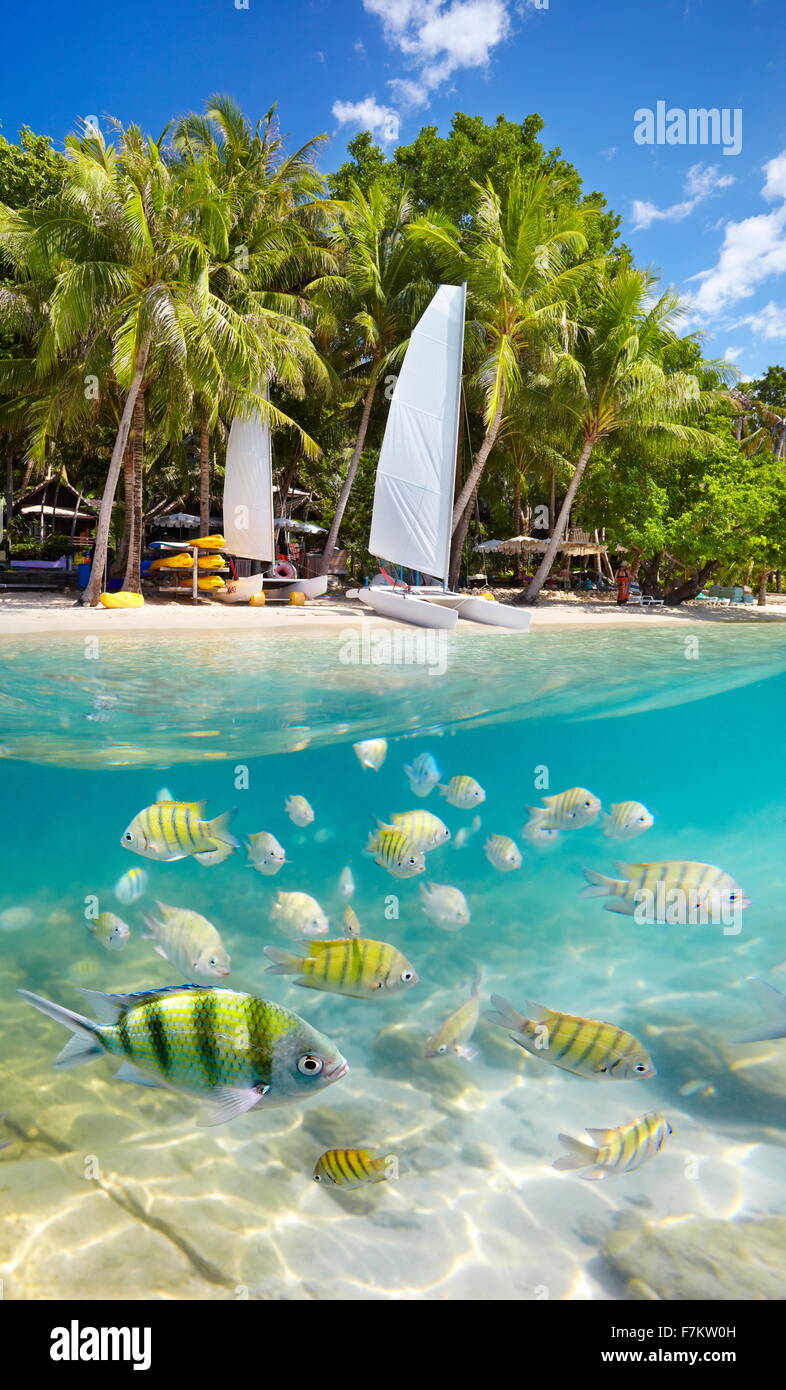 Thailand beach and underwater sea view with fish, Ko Samet Island, Thailand, Asia Stock Photo