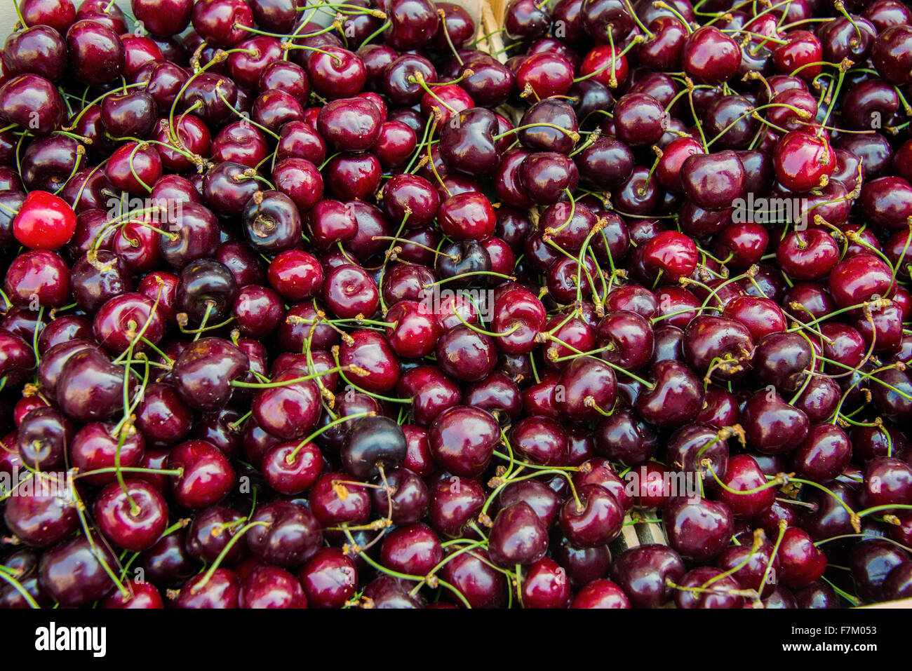 Cherries on sale near me