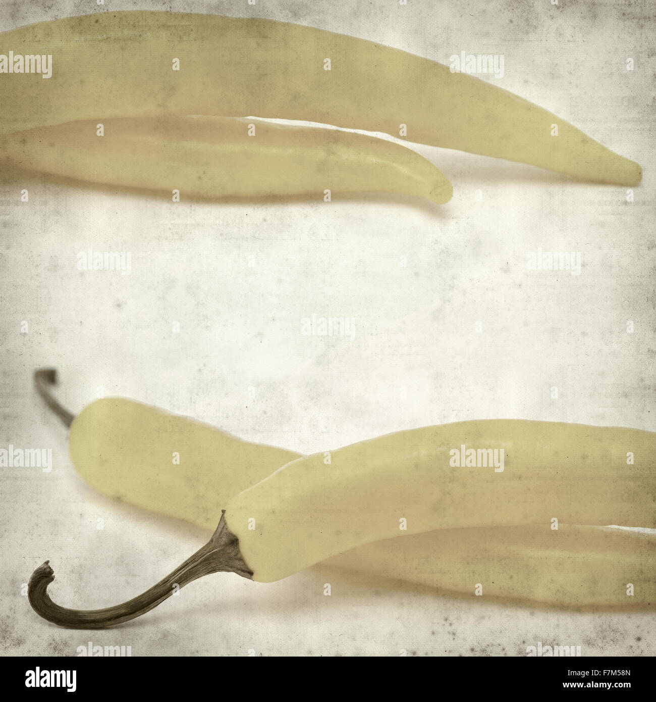 textured old paper background with yellow chilli pepper Stock Photo - Alamy