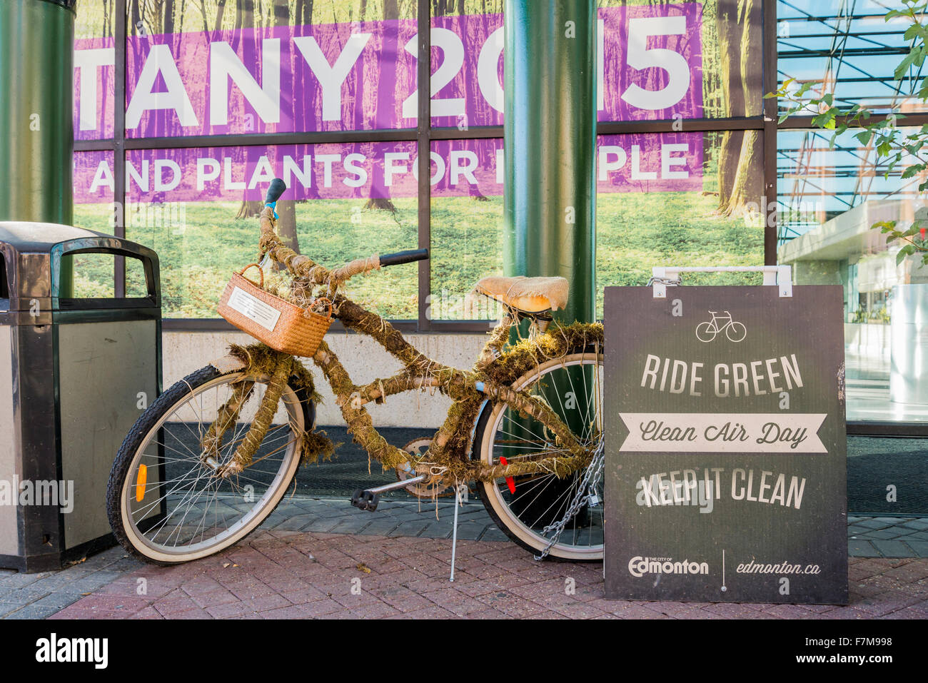 Bicycle wrapped moss clean air day ride green bike hires stock