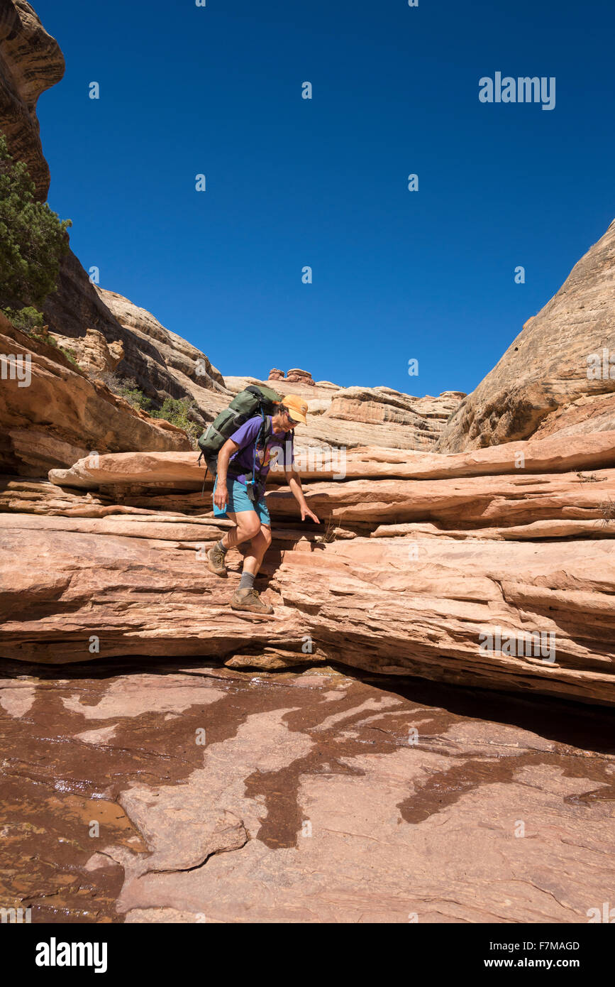 Backpack the desert hires stock photography and images Alamy