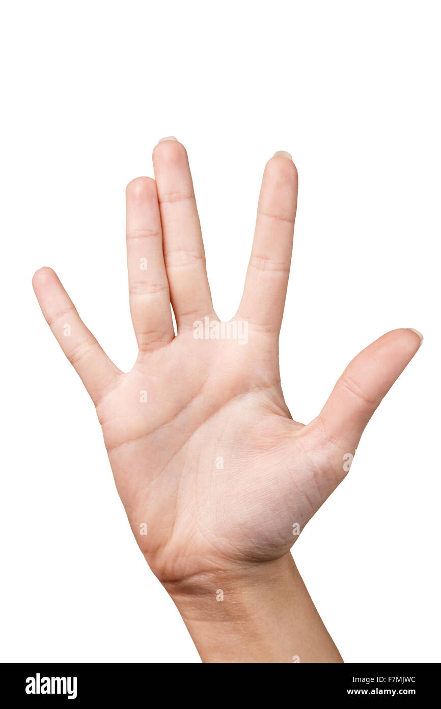 Hand is showing five fingers Stock Photo