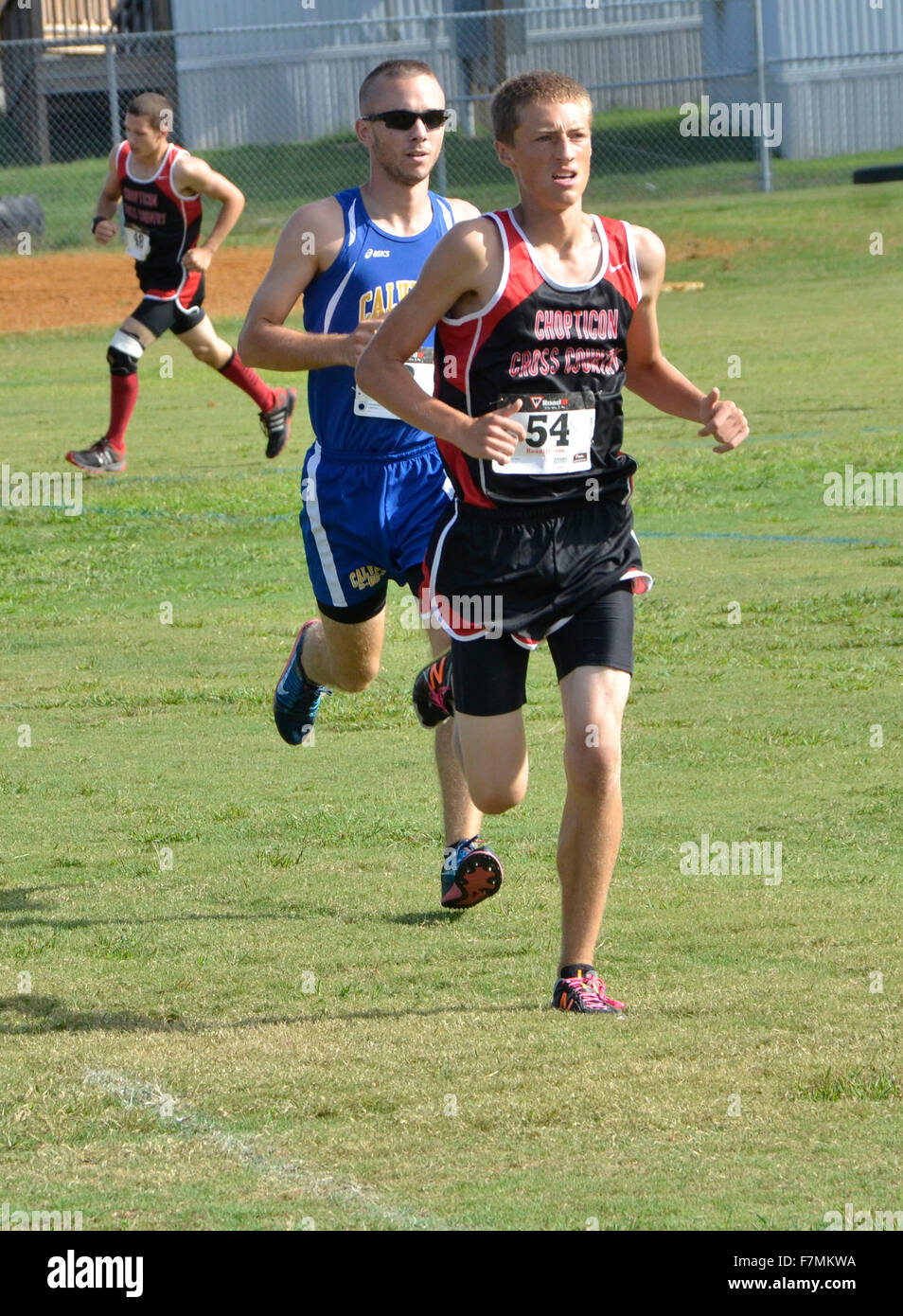 A high school cross country race Stock Photo Alamy
