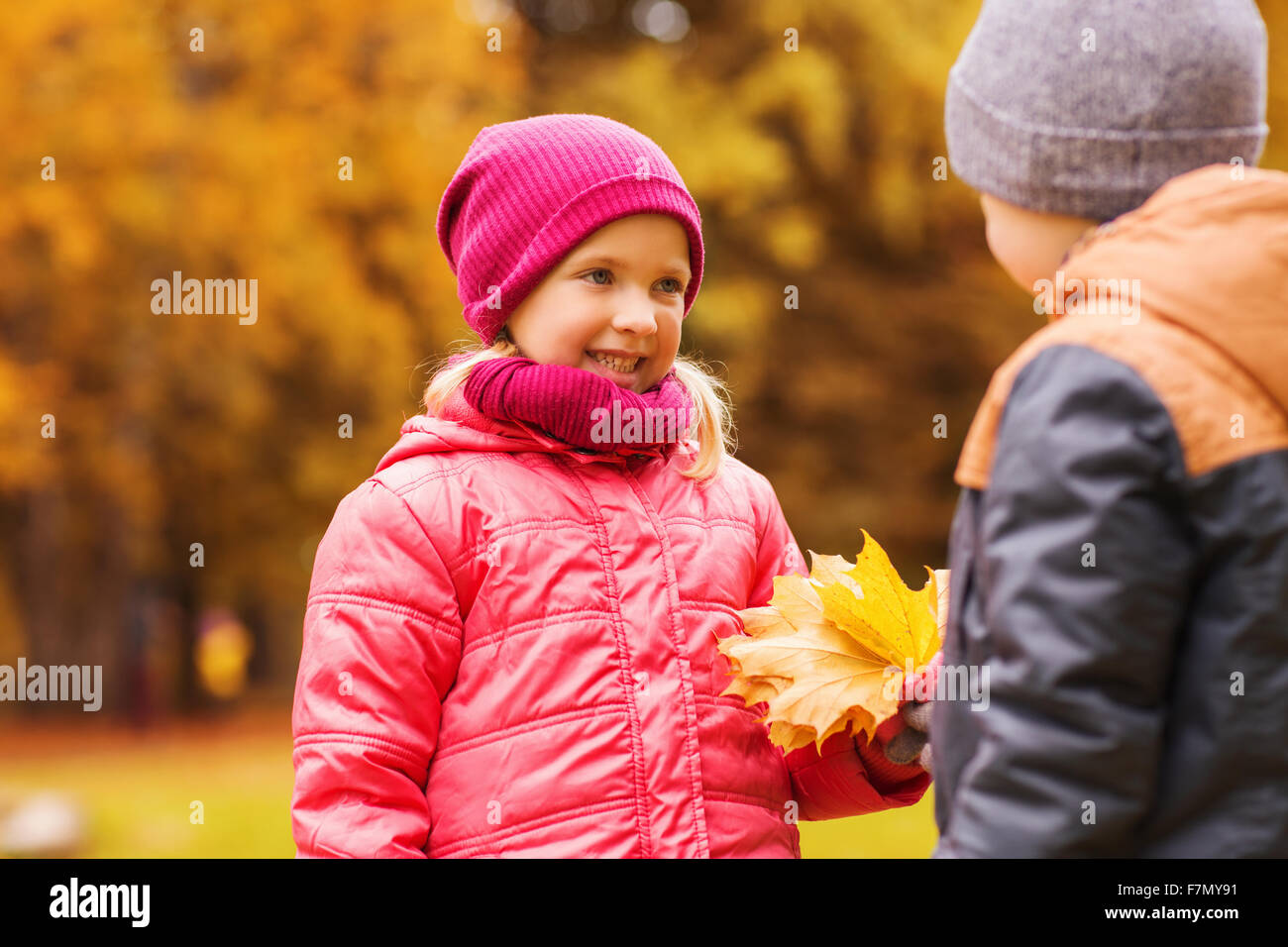 little boy giving autumn maple leaves to girl Stock Photo Alamy