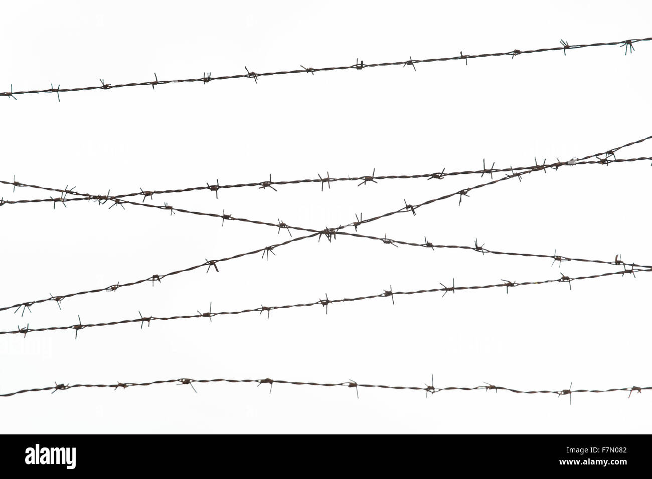 barb wire fence over gray sky Stock Photo