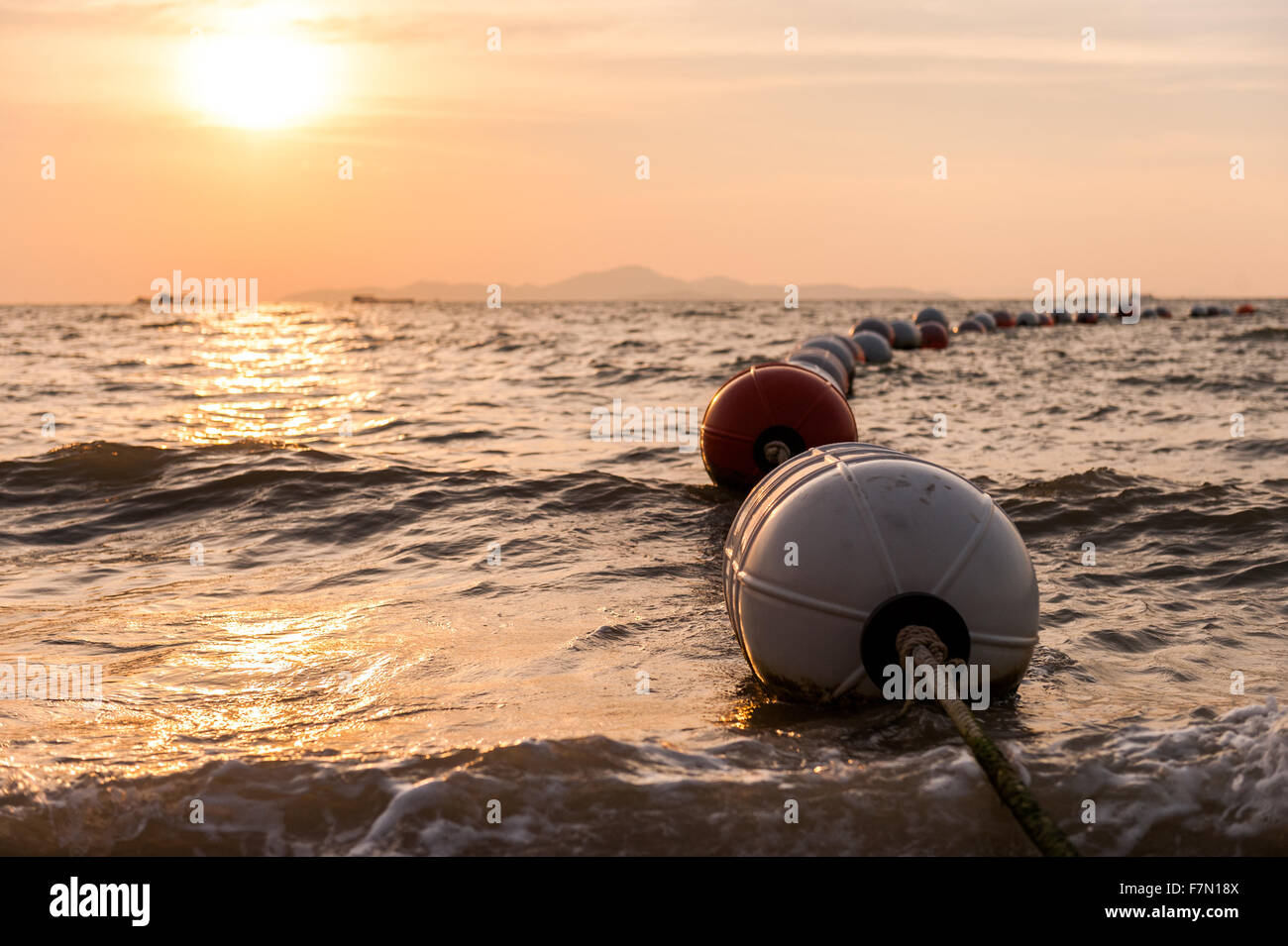 Buoys in water with a golden sunset Stock Photo