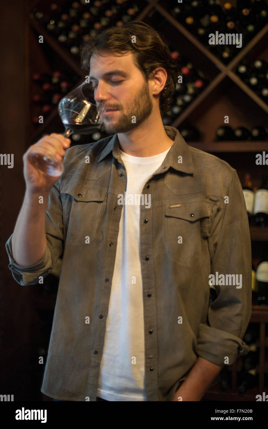 Connoisseur smelling glass of wine Stock Photo - Alamy