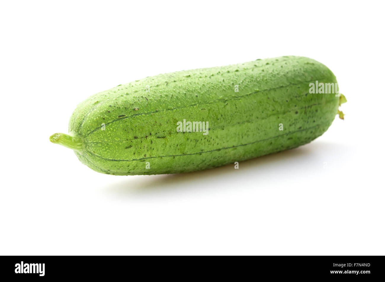 fresh smooth loofah on a white background Stock Photo