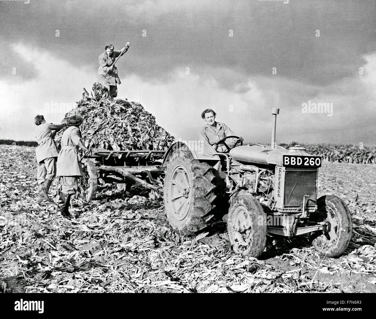 Fordson tractor with members of the British Women's Land Army, doing farm labour during World War II Stock Photo
