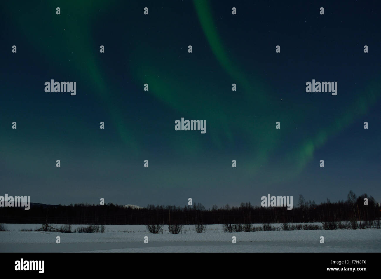 aurora borealis, northern light over snowy winter field Stock Photo - Alamy