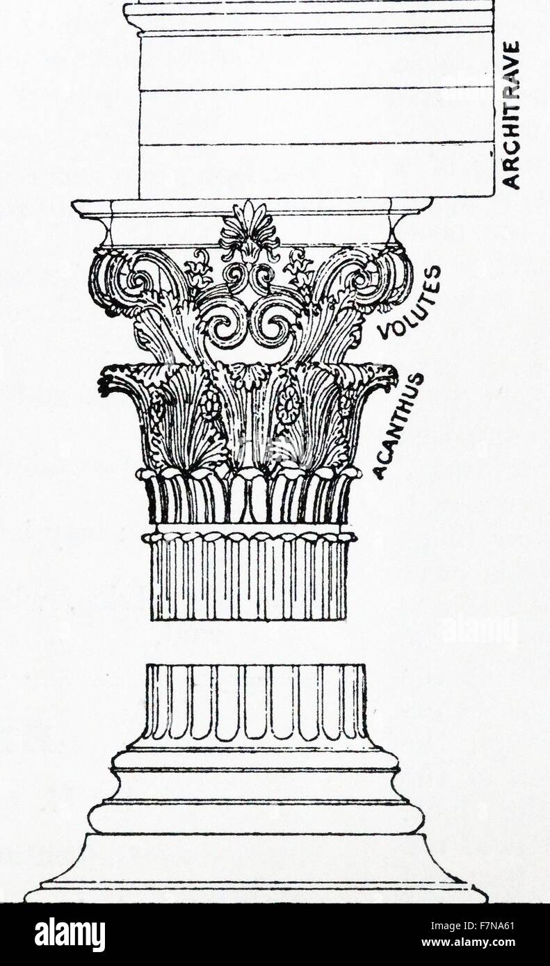 Illustration from a book depicting a Corinthian Column divided and labelled Dated 1913 Stock Photo