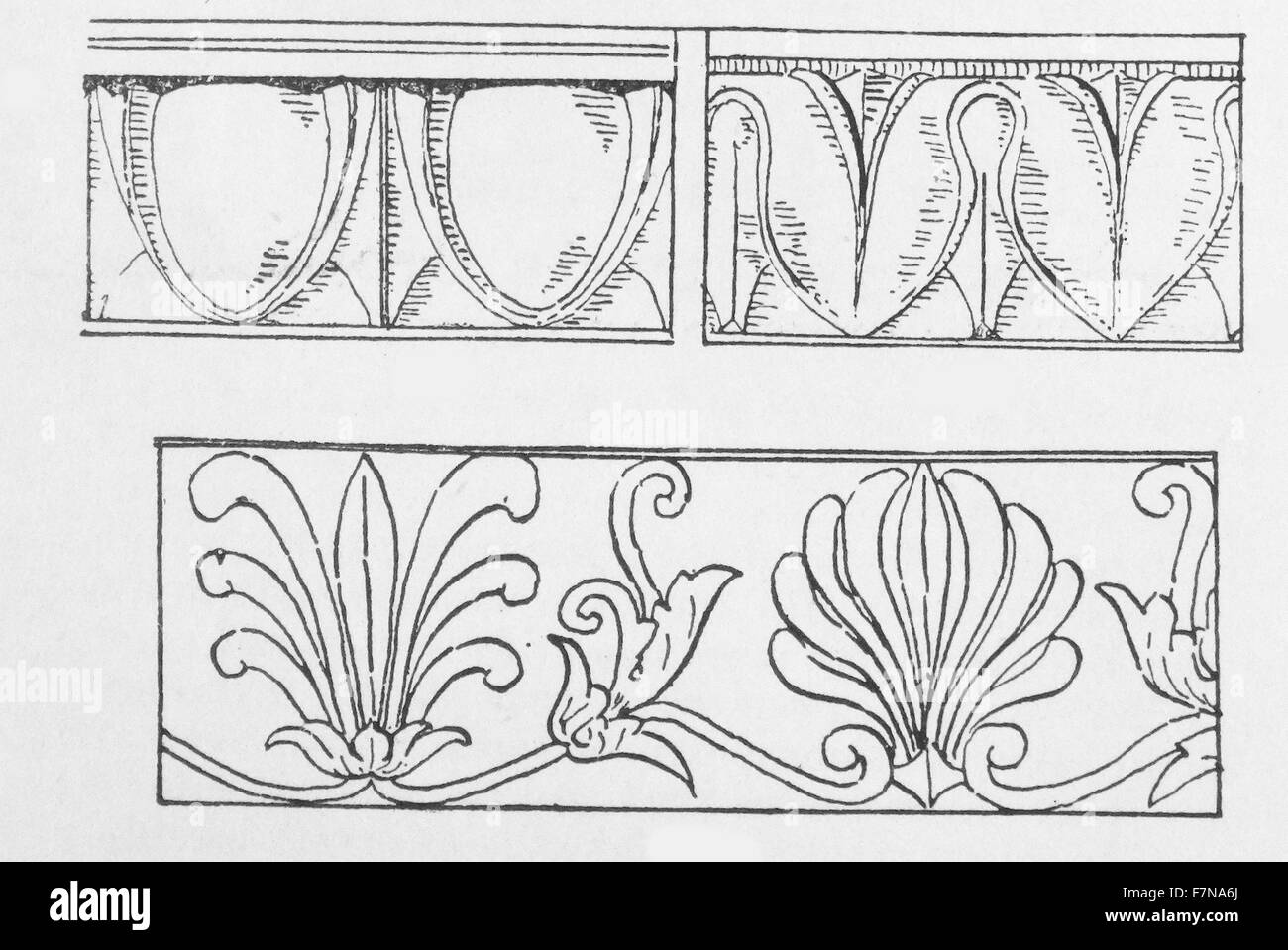Illustration from a book depicting different types of mouldings including an Egg and Tongue moulding, Leaf and Tongue Moulding and Honeysuckle Carving. Dated 1913 Stock Photo
