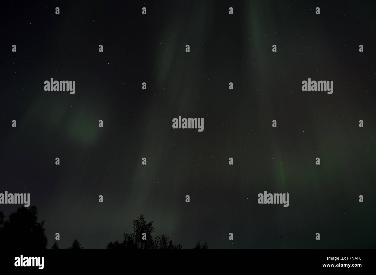 aurora borealis over forest in autumn Stock Photo - Alamy