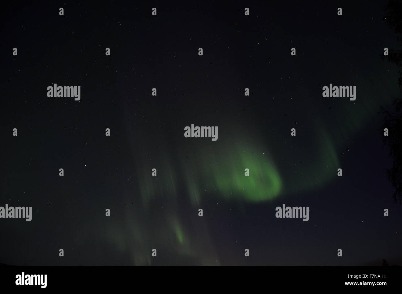 aurora borealis dancing on the night sky in autumn Stock Photo - Alamy