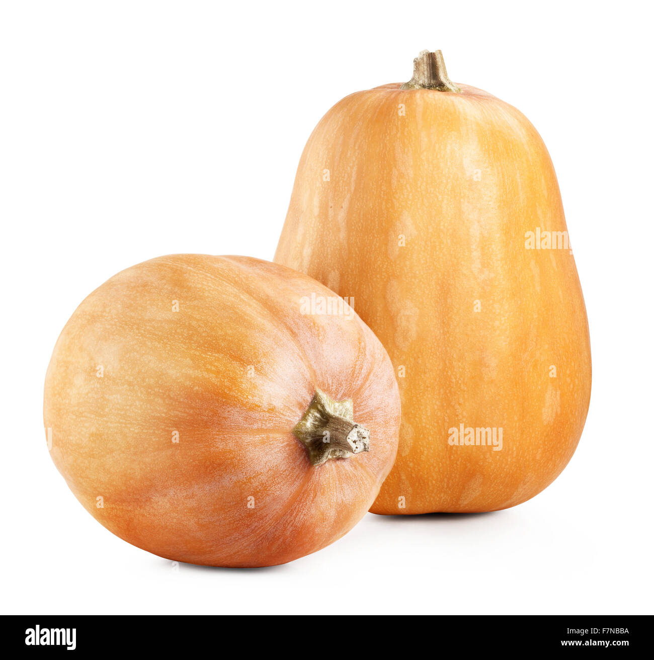 Big pumpkins on a white background. Clipping Path Stock Photo