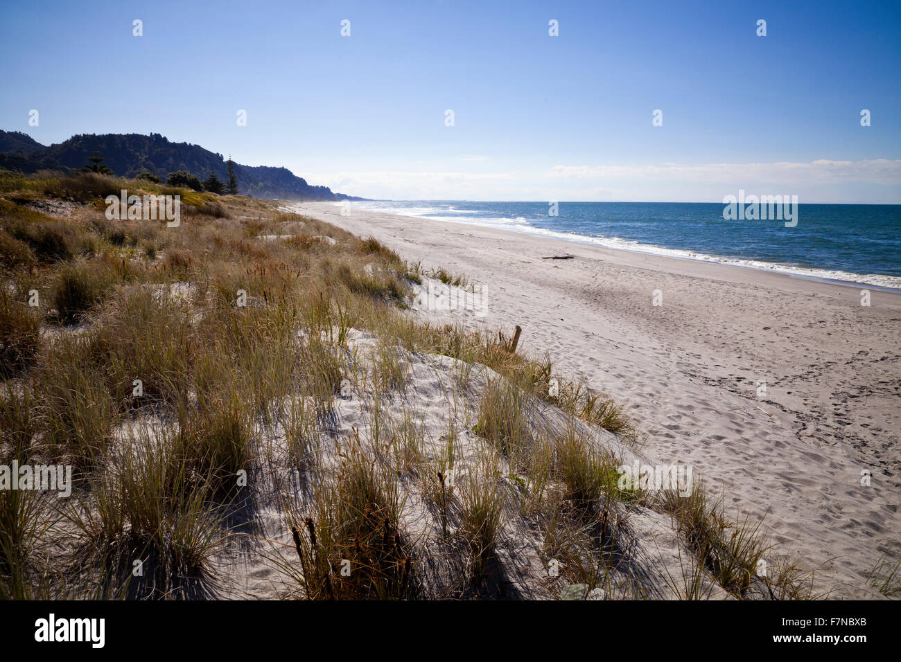 White sand beach, Papamoa, Bay of plenty, New Zealand Stock Photo Alamy