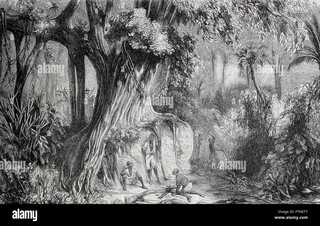 African slves in the jungles of the French caribean; drawings after M Regis de Trobriand. Stock Photo