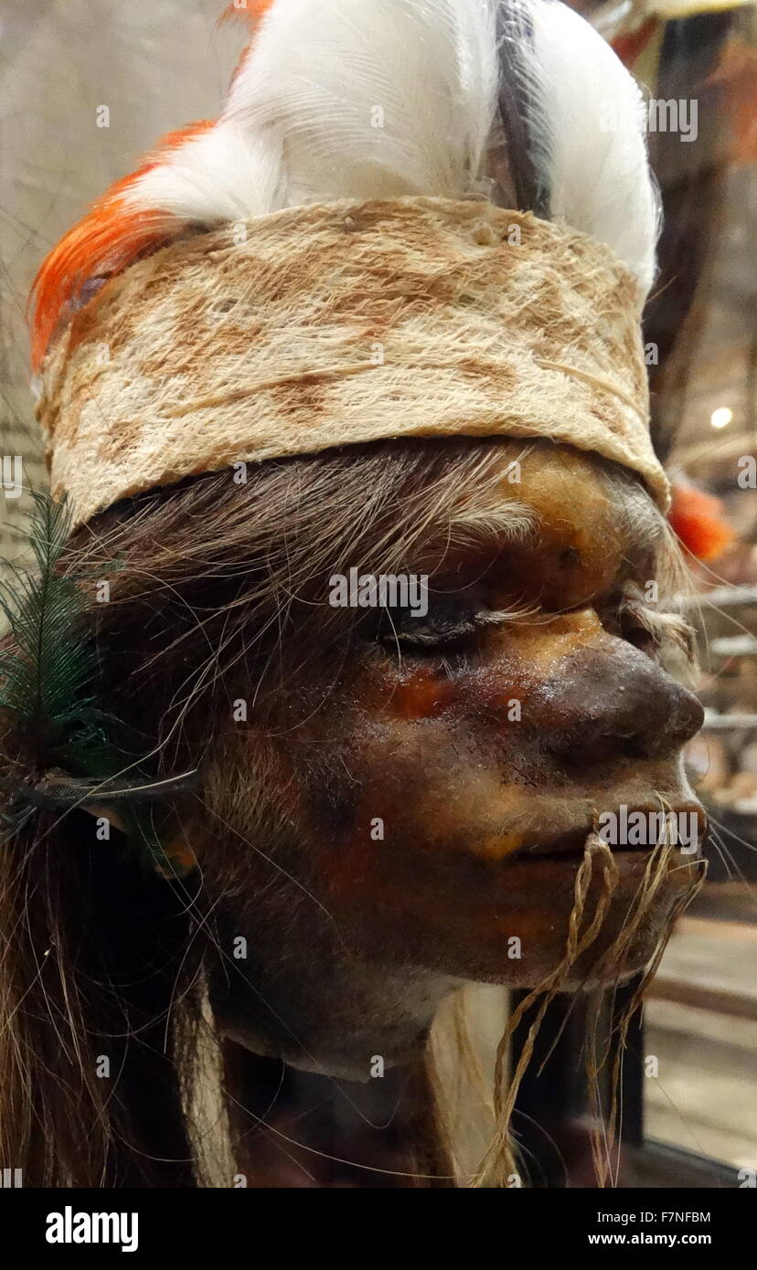 Tsantsas - Shrunken head from the Jivaroan tribes. Shrunken heads are severed and specially prepared human heads that are used for trophy, ritual, or trade purposes. Dated 1890 Stock Photo