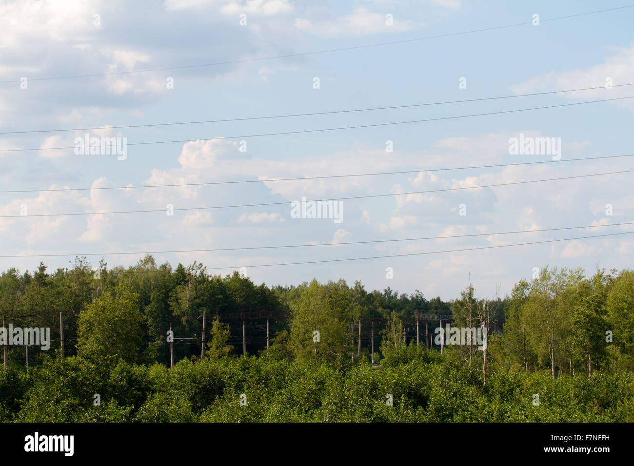 Russia aging boreal branch hi-res stock photography and images - Alamy