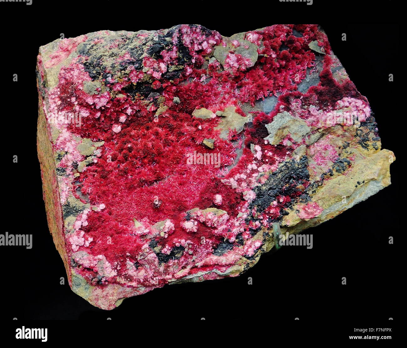 Cobalto rojo fotografías e imágenes de alta resolución - Alamy