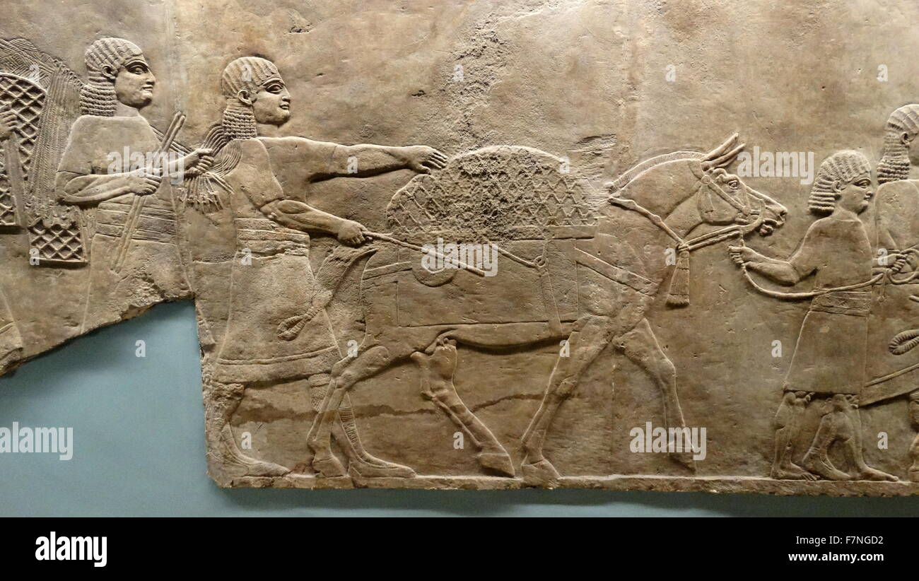 relief-showing-hunting-assyrian-about-645-635-bc-from-nineveh-iraq