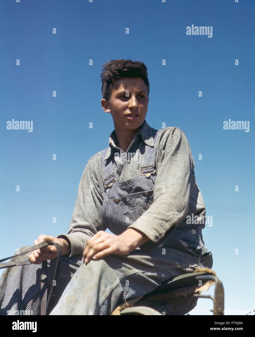 Portrait of an american farm boy  between 1941 and 1945 Stock Photo