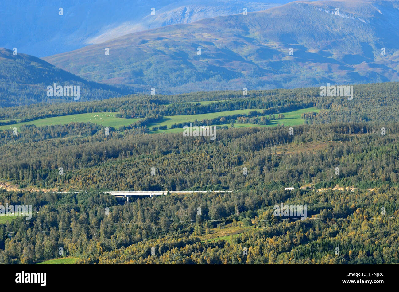 forest and mountain landscape on blue autumn sky Stock Photo - Alamy