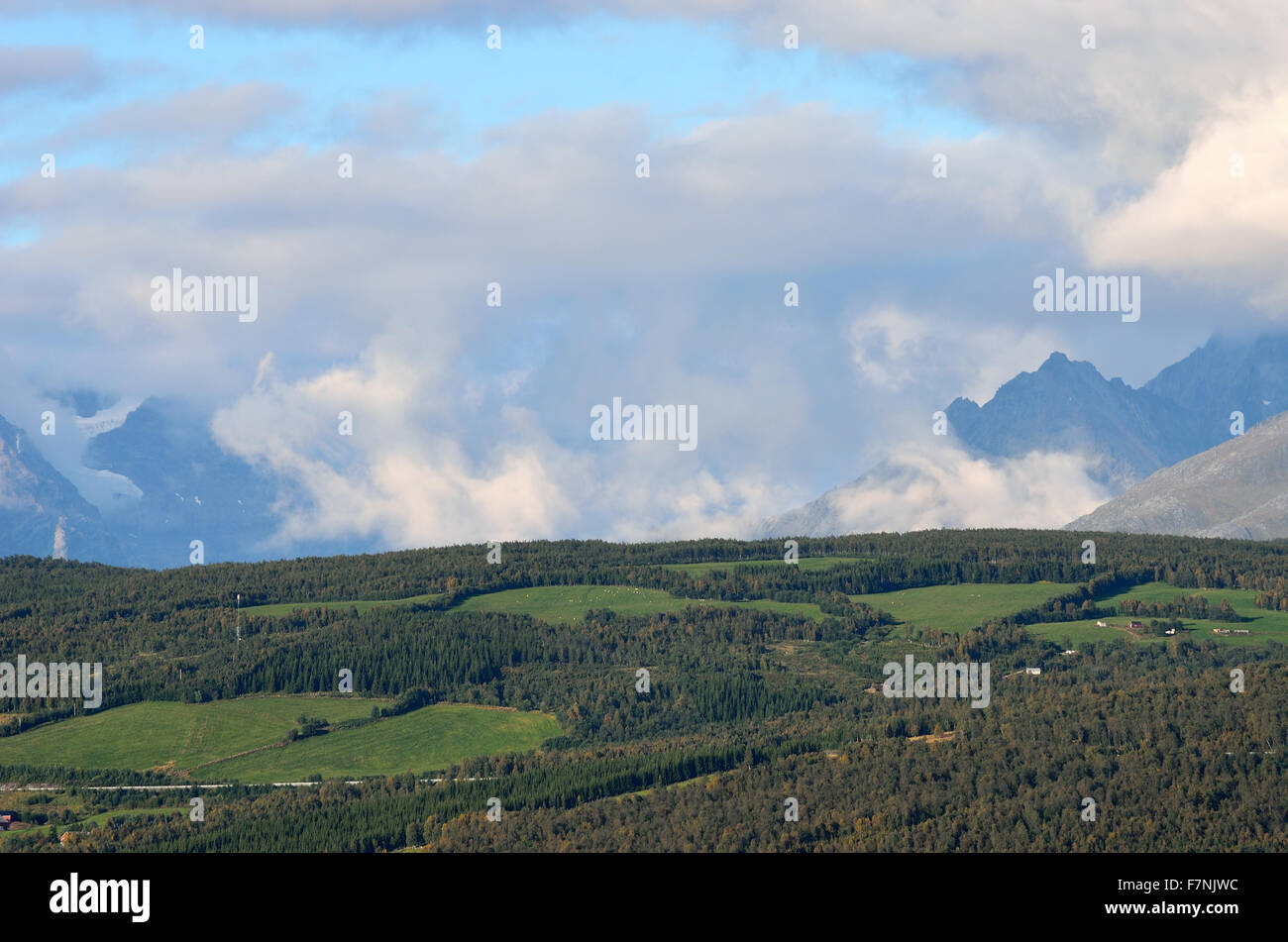 forest and mountain landscape on blue autumn sky Stock Photo - Alamy