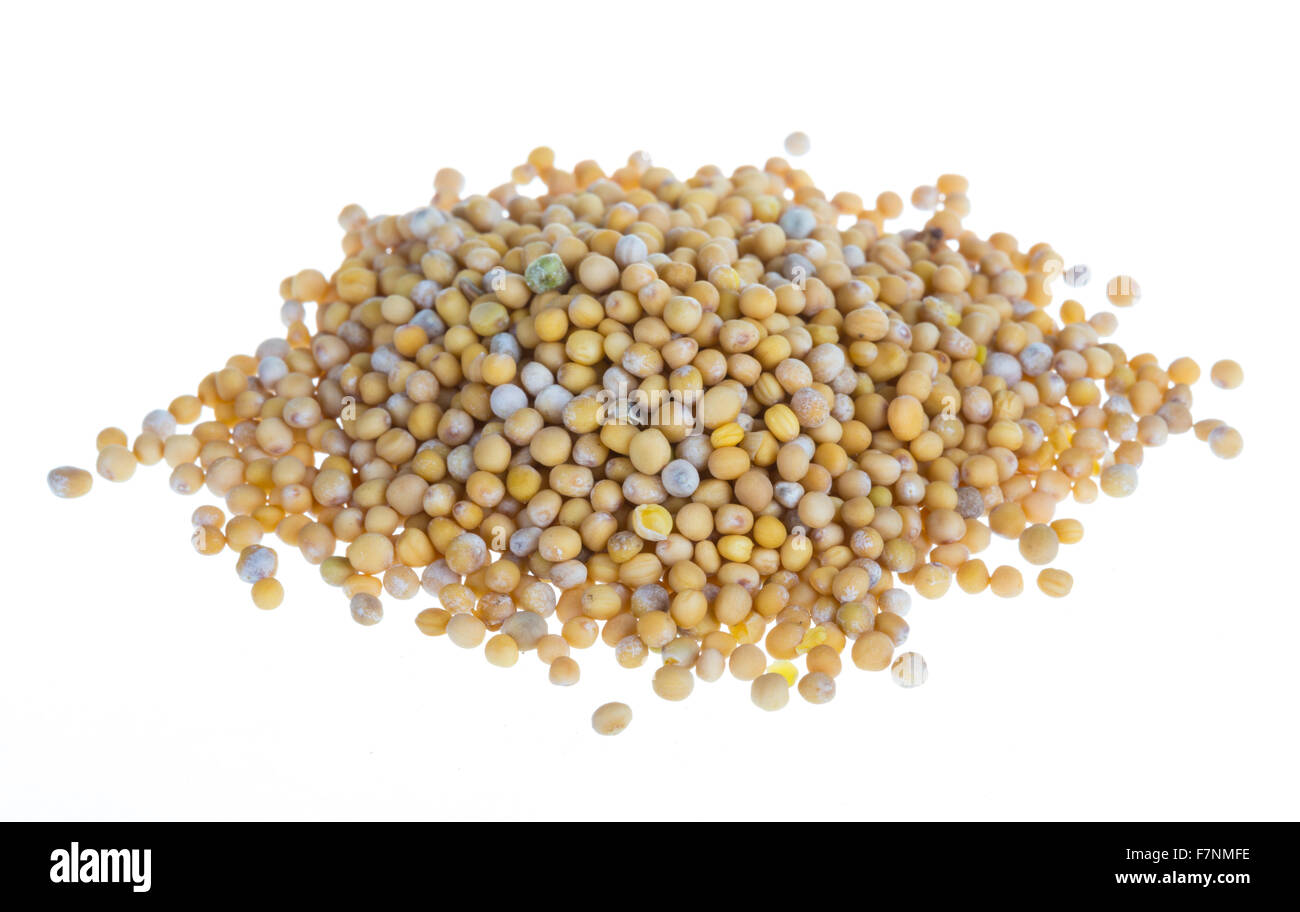 yellow mustard seeds Stock Photo Alamy