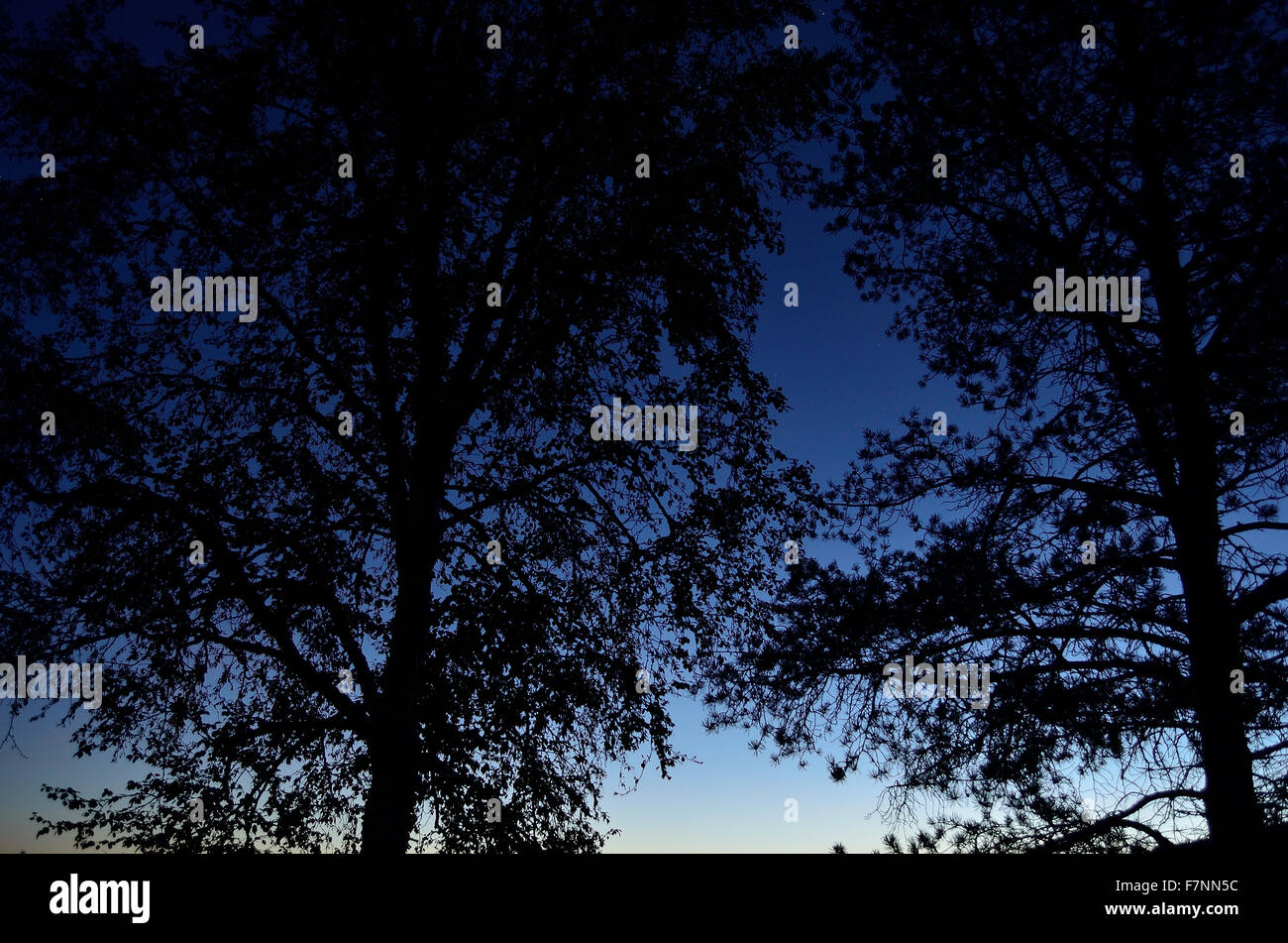 Blue sky vivid dark hi-res stock photography and images - Alamy