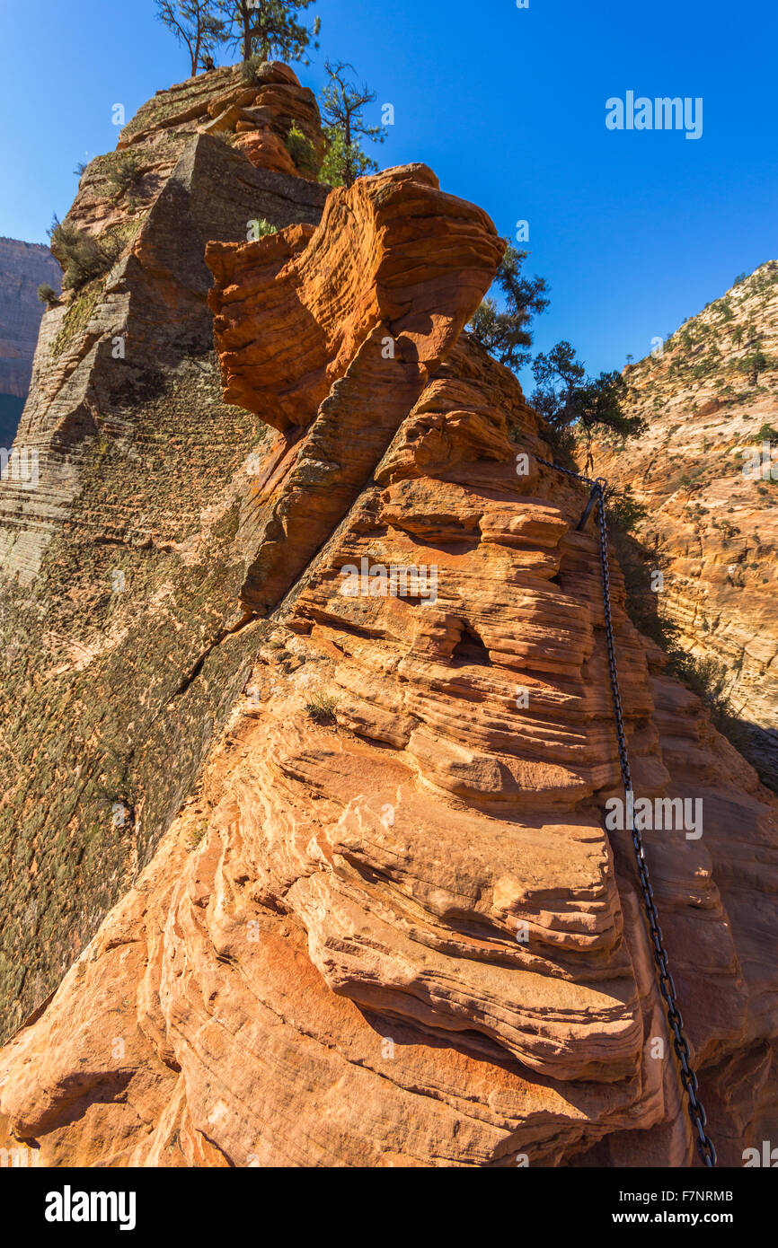 Dangerous trail in Zion National Park, Angel's landing Stock Photo - Alamy