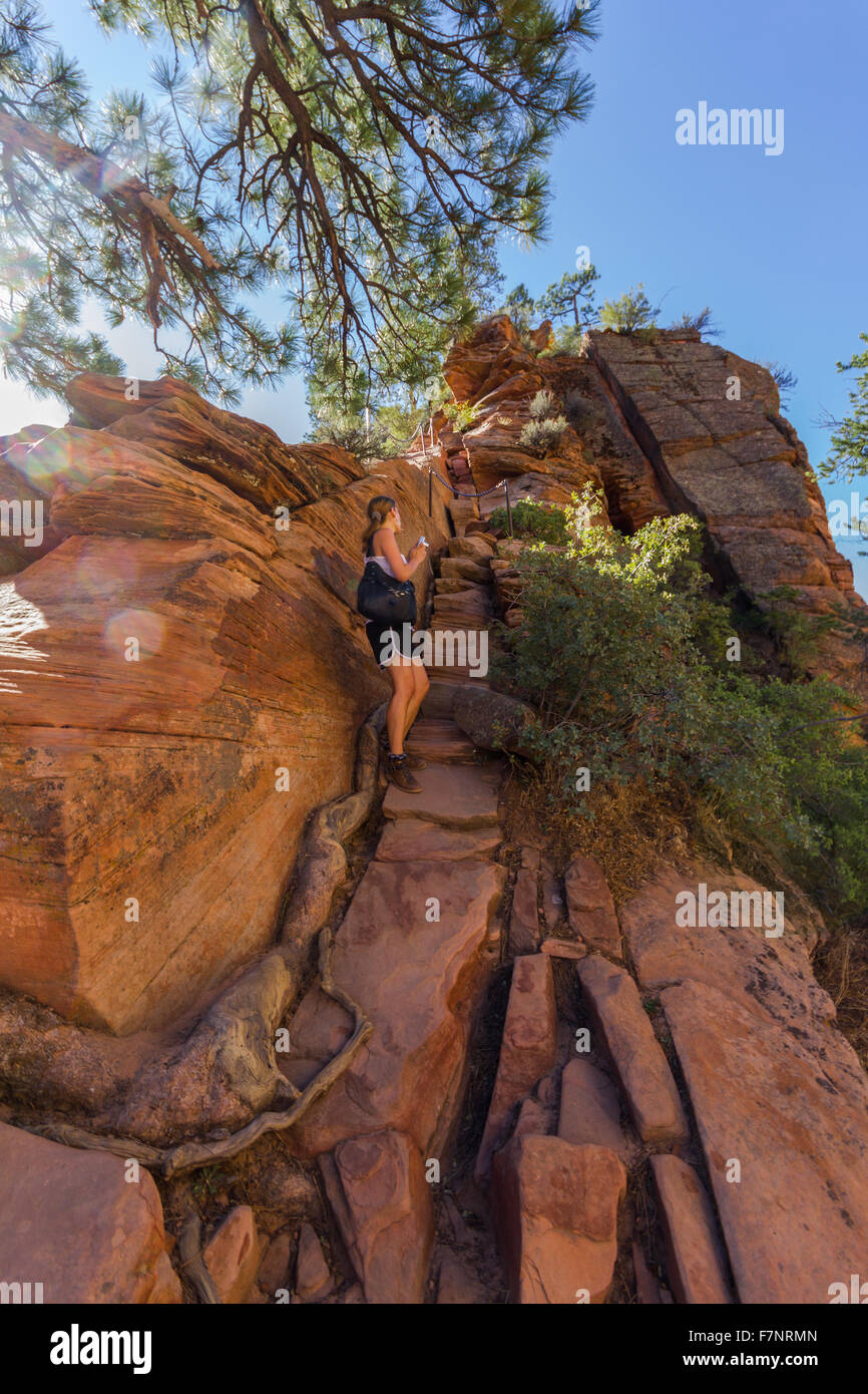 Dangerous trail in Zion National Park, Angel's landing Stock Photo - Alamy