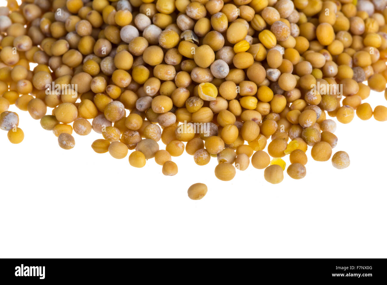 yellow mustard seeds Stock Photo Alamy