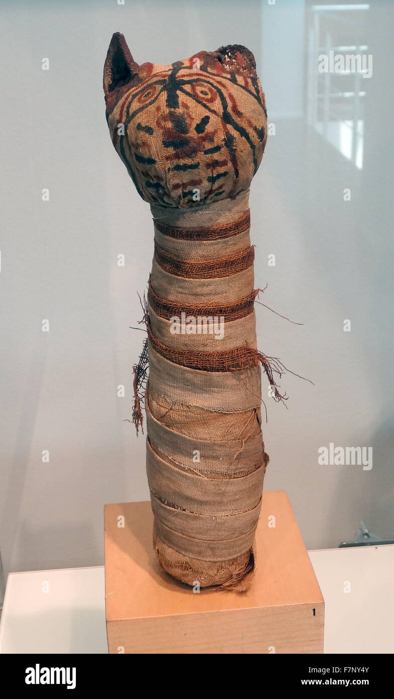 Mummified cat hi-res stock photography and images - Alamy Mummified cat hi-res stock photography and images - Alamy