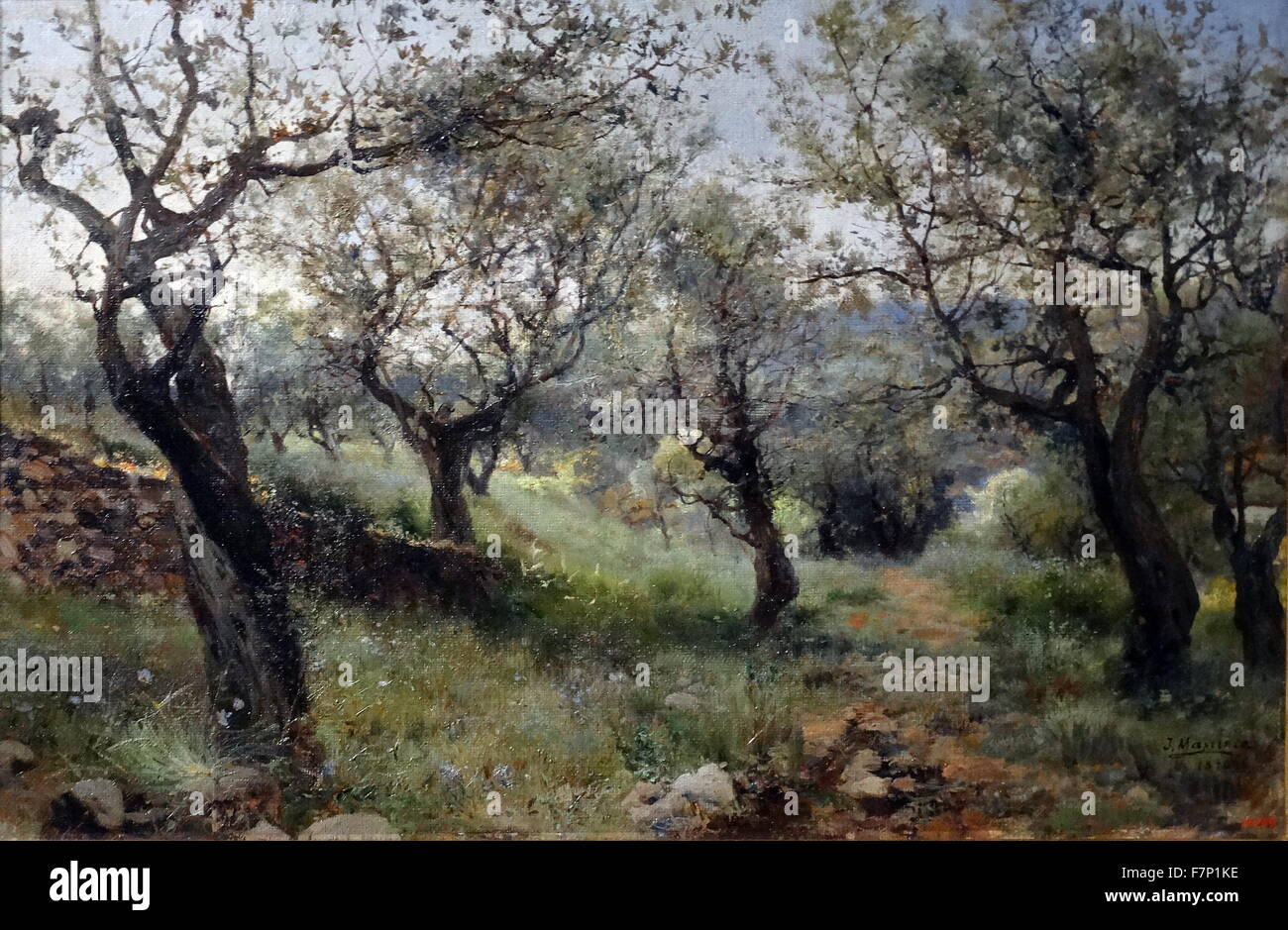 Masriera hires stock photography and images Alamy