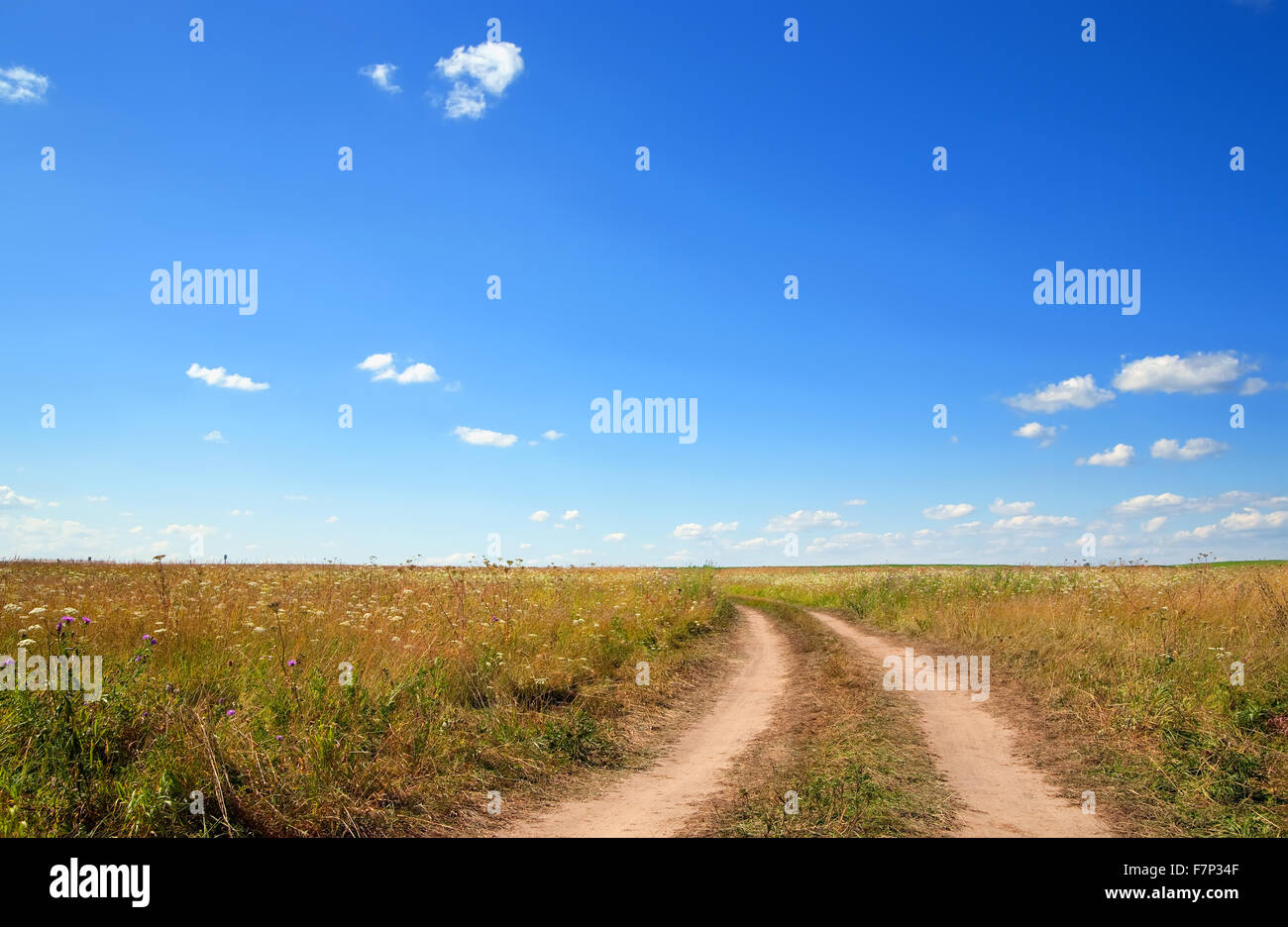 summer field road under blue cloudy sky Stock Photo - Alamy