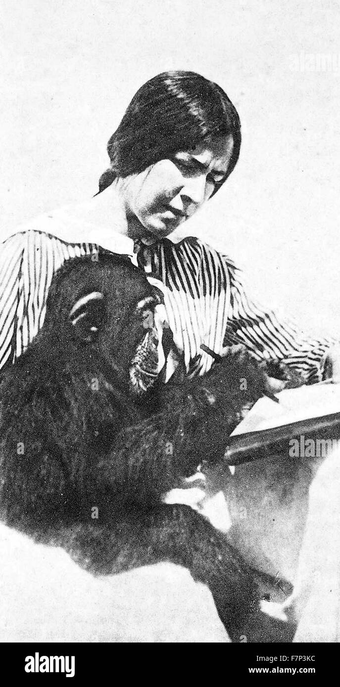 Photograph of Nadezhda Ladygina-Kohts (1889 – 1963) Russian zoopsychologist. She led a zoopsychology laboratory at the Darwin Museum in Moscow. her research compared psychology of humans and other primates. Behaviors, intelligence and emotions of young chimpanzees in comparison with human children were her main subject. Dated 1914 Stock Photo